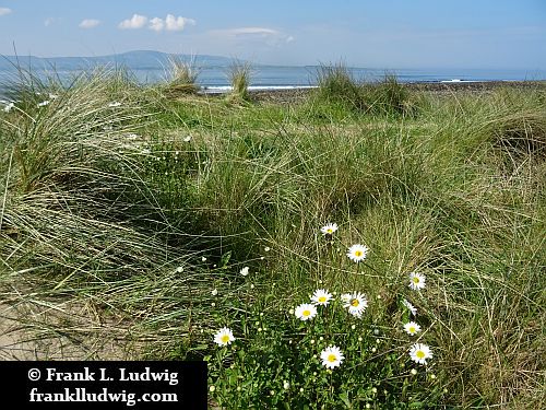 Strandhill